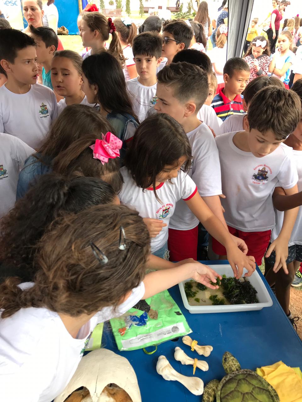 Exposição de Tartarugas - Projeto Tamar - PMP-BS - 17/09/2019