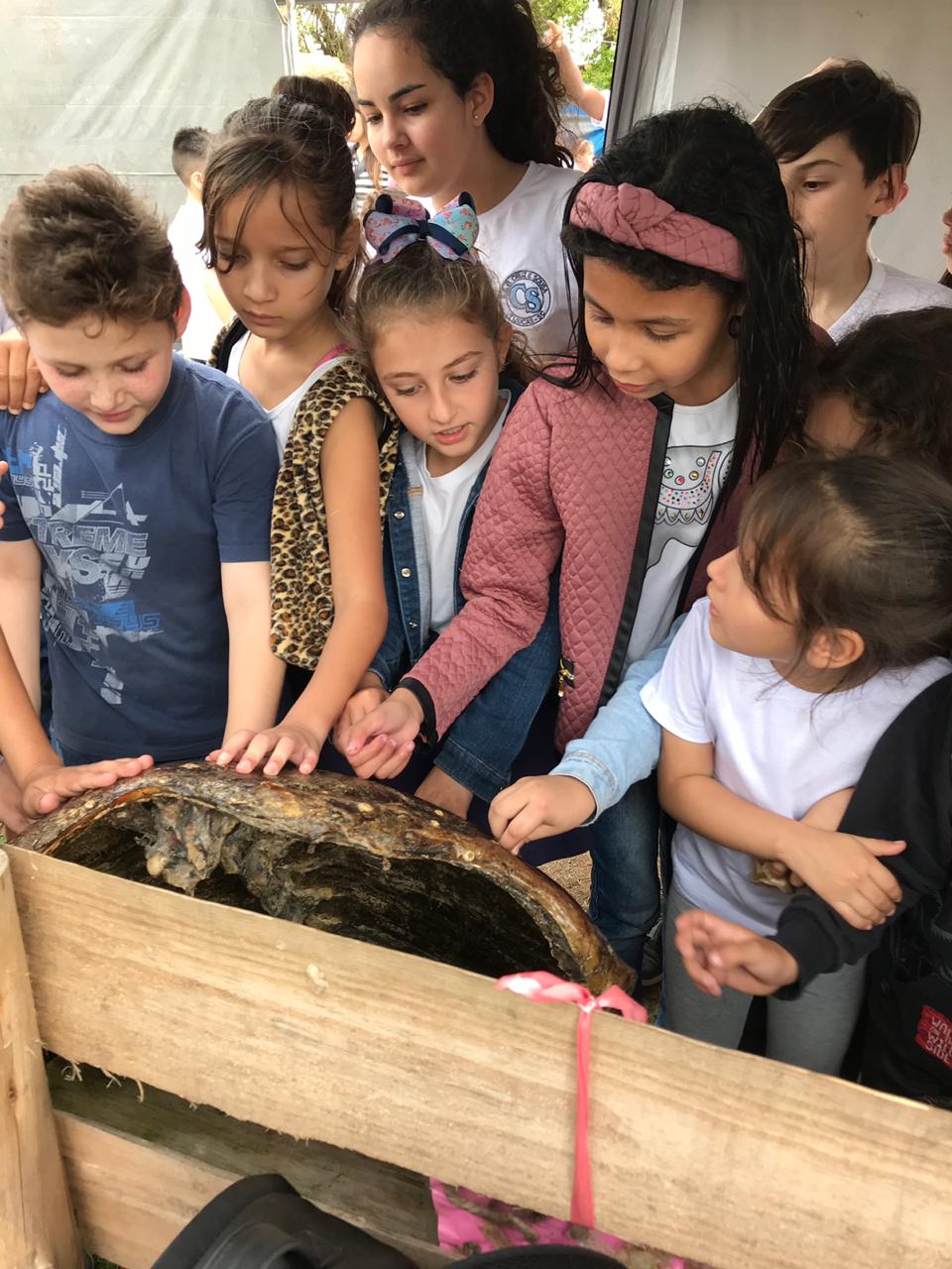 Exposição de Tartarugas - Projeto Tamar - PMP-BS - 17/09/2019