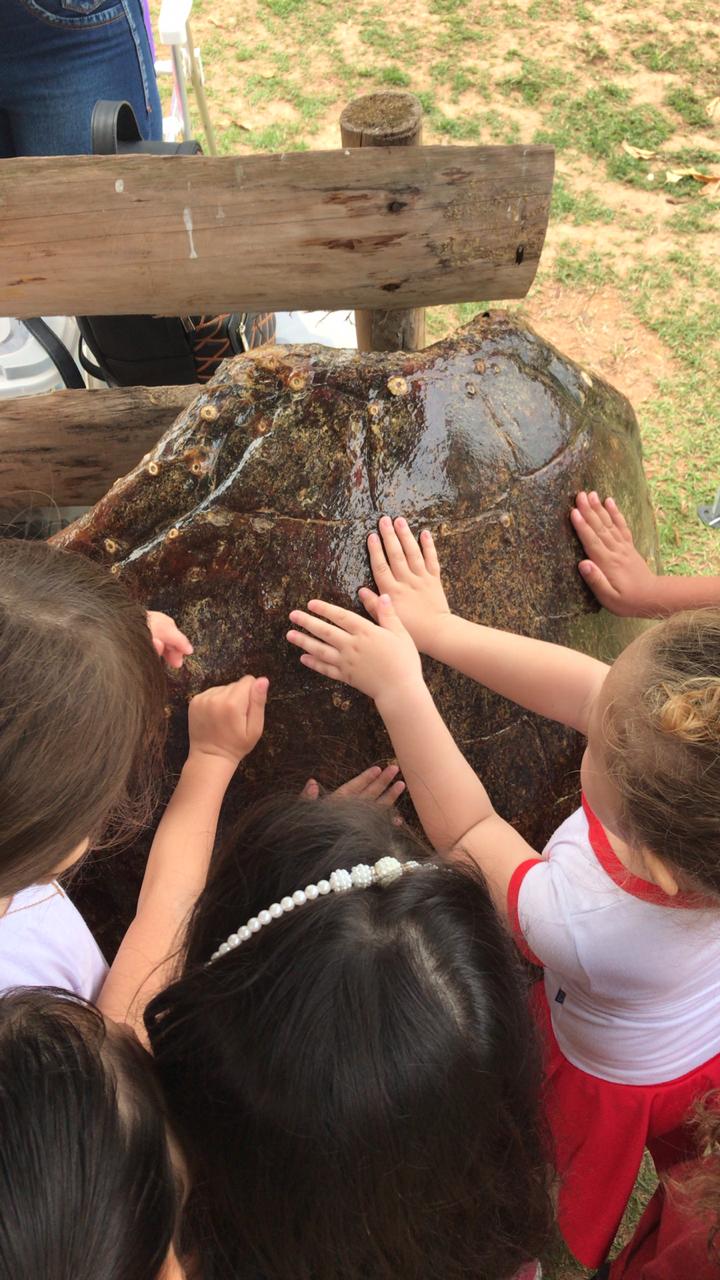 Exposição de Tartarugas - Projeto Tamar - PMP-BS - 17/09/2019