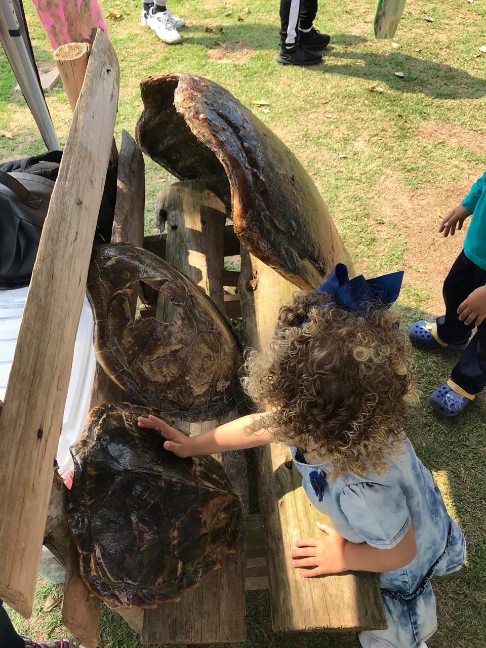 Exposição de Tartarugas - Projeto Tamar - PMP-BS - 17/09/2019