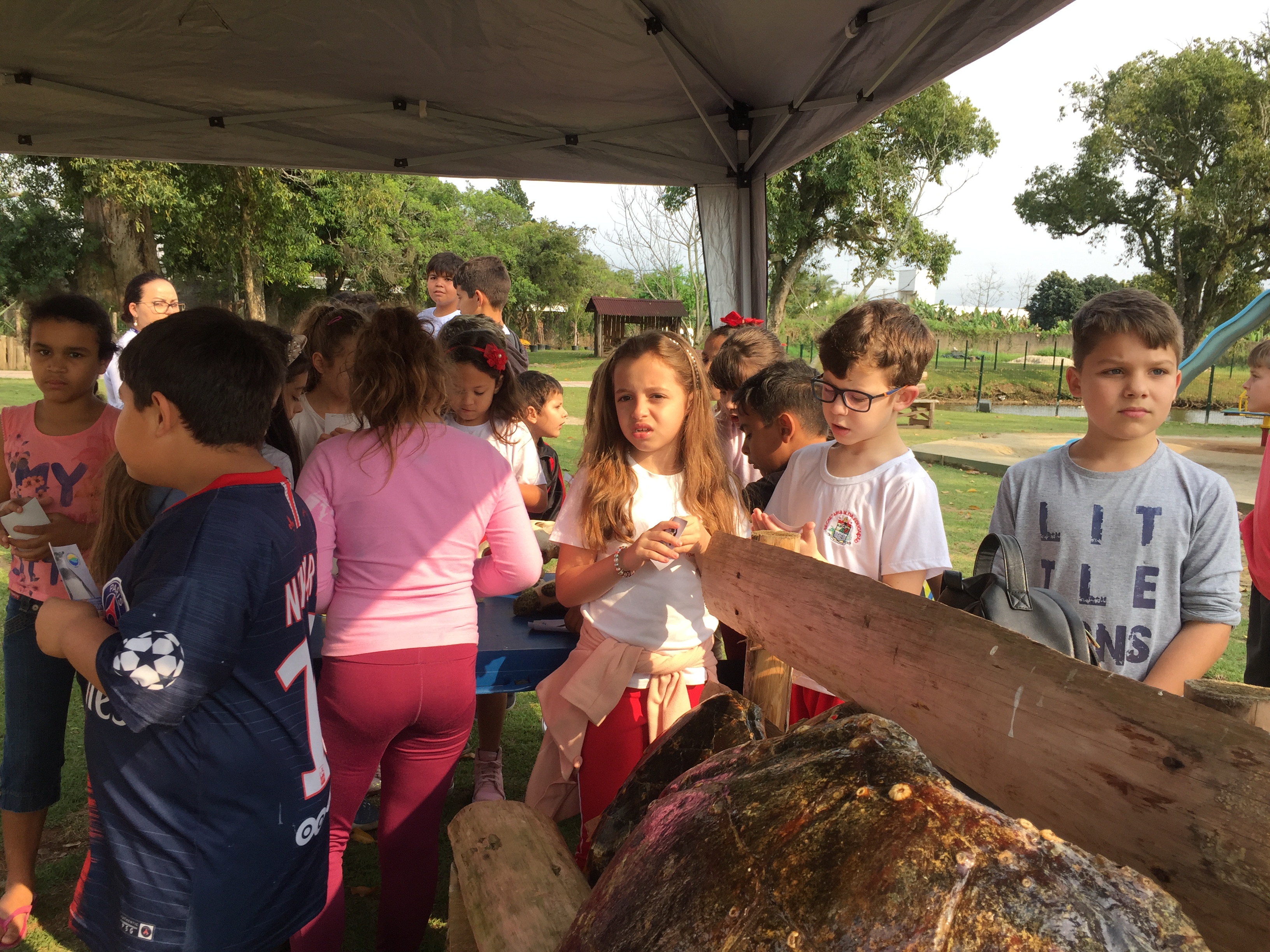 Exposição de Tartarugas - Projeto Tamar - PMP-BS - 17/09/2019