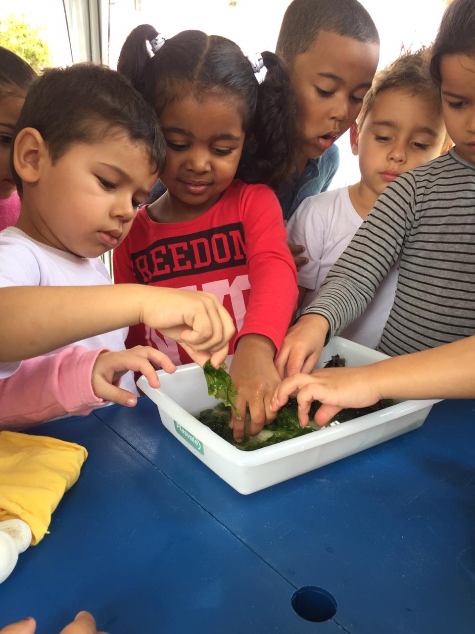 Exposição de Tartarugas - Projeto Tamar - PMP-BS - 17/09/2019