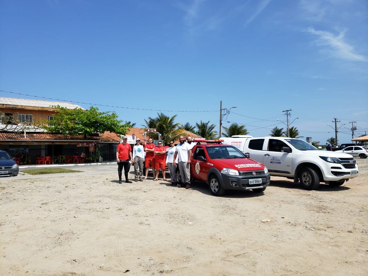 Leão-marinho em Barra do Sul (SC) - 05/10/2019 