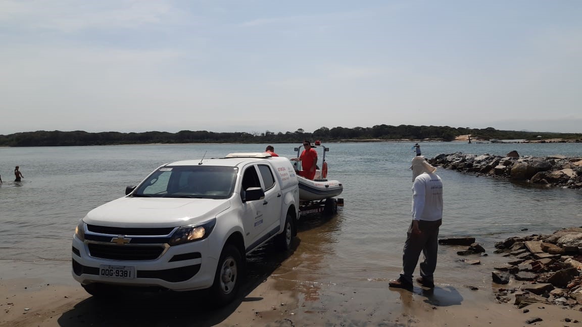 Leão-marinho em Barra do Sul (SC) - 05/10/2019 