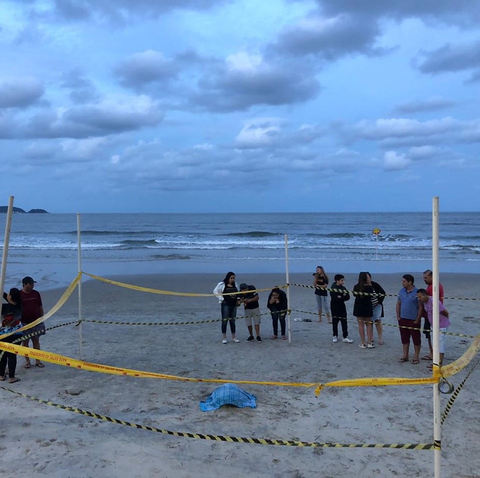 Resgate - tartaruga-cabeçuda - PMP-BS/UFPR 20/10/2019