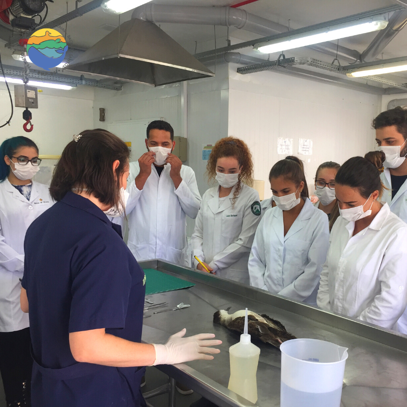 Univali recebe alunos de biologia e medicina veterinária em visita técnica - 07/03/2020